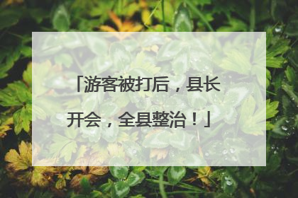 游客被打后，县长开会，全县整治！