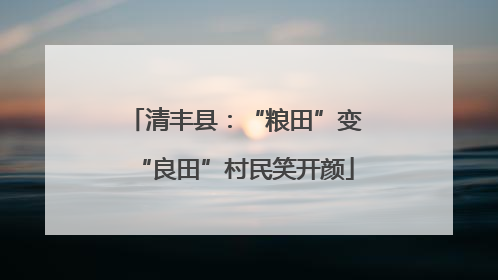 清丰县：“粮田”变“良田”村民笑开颜