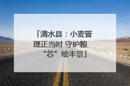清水县：小麦管理正当时 守护粮“芯”绘丰景