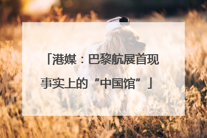 港媒：巴黎航展首现事实上的“中国馆”