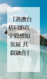 港澳台侨同胞在宁夏感知发展 共叙融合