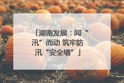 湖南发展：闻“汛”而动 筑牢防汛“安全墙”