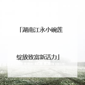 湖南江永小碗莲绽放致富新活力