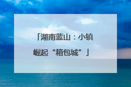 湖南蓝山：小镇崛起“箱包城”