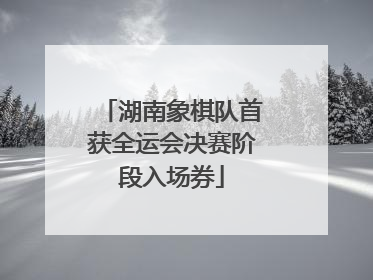 湖南象棋队首获全运会决赛阶段入场券