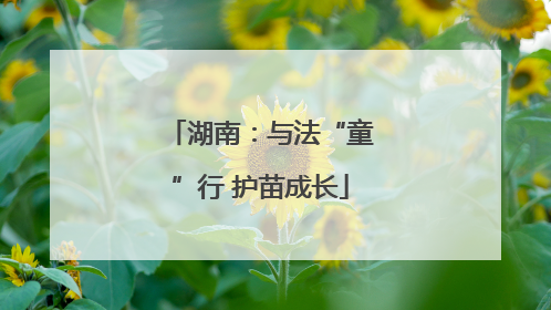 湖南：与法“童”行 护苗成长