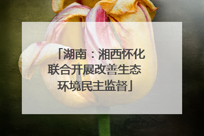 湖南：湘西怀化联合开展改善生态环境民主监督