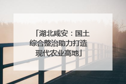 湖北咸安：国土综合整治助力打造现代农业高地
