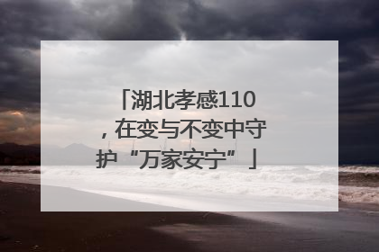 湖北孝感110，在变与不变中守护“万家安宁”