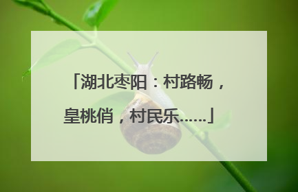 湖北枣阳：村路畅，皇桃俏，村民乐……