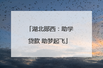 湖北郧西：助学贷款 助梦起飞