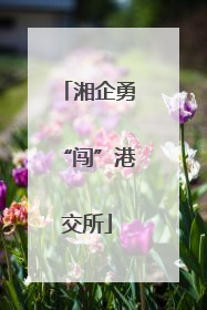 湘企勇“闯”港交所