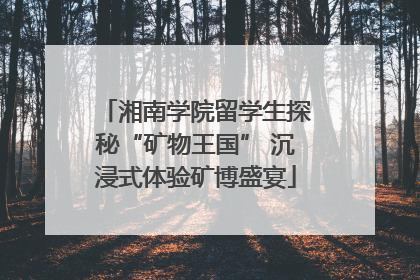 湘南学院留学生探秘“矿物王国” 沉浸式体验矿博盛宴