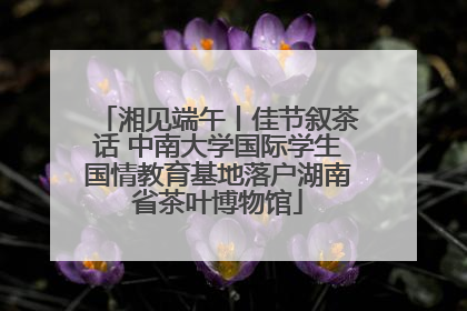 湘见端午丨佳节叙茶话 中南大学国际学生国情教育基地落户湖南省茶叶博物馆