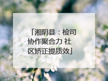 湘阴县：检司协作聚合力 社区矫正提质效