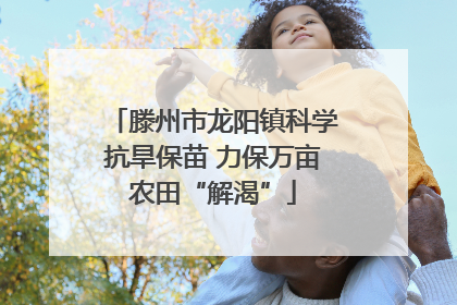 滕州市龙阳镇科学抗旱保苗 力保万亩农田“解渴”