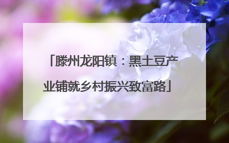 滕州龙阳镇：黑土豆产业铺就乡村振兴致富路