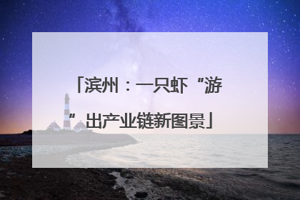 滨州：一只虾“游”出产业链新图景
