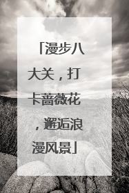 漫步八大关，打卡蔷薇花，邂逅浪漫风景