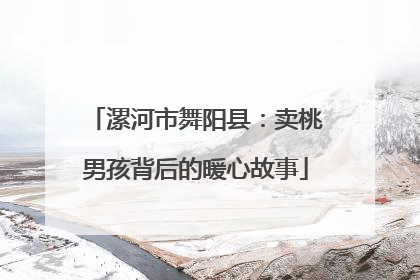 漯河市舞阳县：卖桃男孩背后的暖心故事
