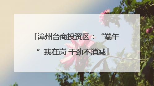 漳州台商投资区：“端午”我在岗 干劲不消减