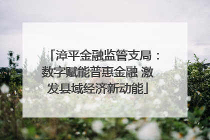 漳平金融监管支局：数字赋能普惠金融 激发县域经济新动能