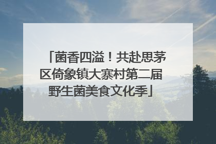 菌香四溢！共赴思茅区倚象镇大寨村第二届野生菌美食文化季