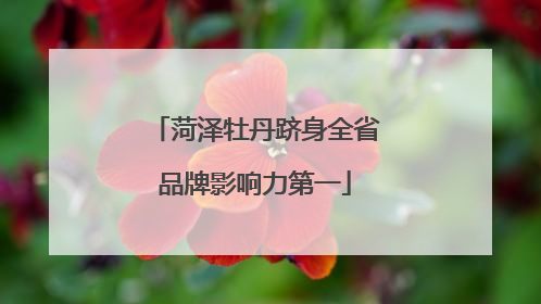 菏泽牡丹跻身全省品牌影响力第一