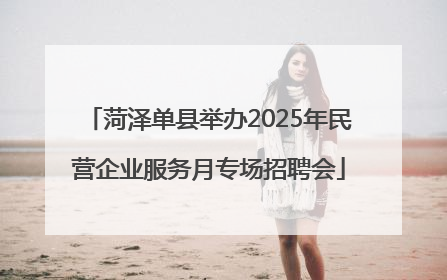 菏泽单县举办2025年民营企业服务月专场招聘会