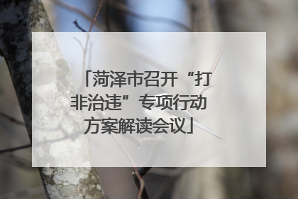 菏泽市召开“打非治违”专项行动方案解读会议