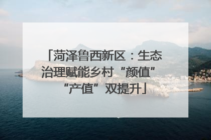 菏泽鲁西新区：生态治理赋能乡村“颜值”“产值”双提升