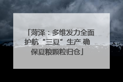 菏泽：多维发力全面护航“三夏”生产 确保夏粮颗粒归仓