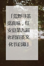 荒野寻茶觅真味，红安县第九届老君眉茶文化节启幕