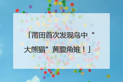 莆田首次发现鸟中“大熊猫”黄腹角雉！