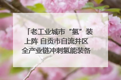 老工业城市“氢”装上阵 自贡市自流井区全产业链冲刺氢能装备制造新高地｜美好生活有“盐”味