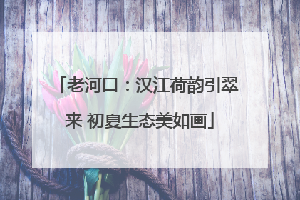 老河口：汉江荷韵引翠来 初夏生态美如画