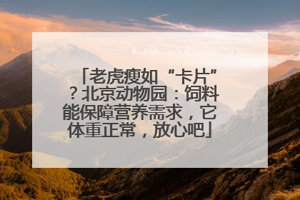 老虎瘦如“卡片”？北京动物园：饲料能保障营养需求，它体重正常，放心吧