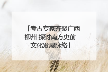 考古专家齐聚广西柳州 探讨南方史前文化发展脉络