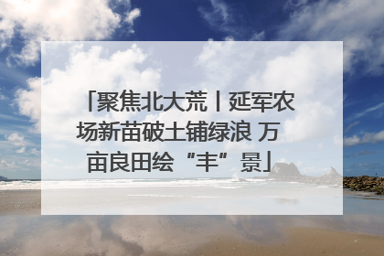 聚焦北大荒丨延军农场新苗破土铺绿浪 万亩良田绘“丰”景