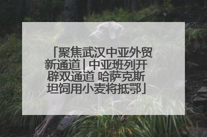 聚焦武汉中亚外贸新通道│中亚班列开辟双通道 哈萨克斯坦饲用小麦将抵鄂