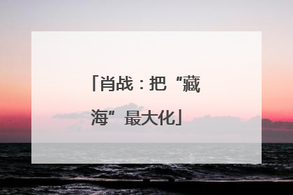 肖战：把“藏海”最大化