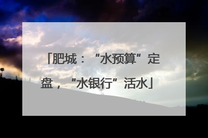 肥城：“水预算”定盘，“水银行”活水