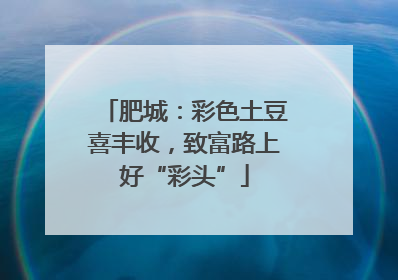 肥城：彩色土豆喜丰收，致富路上好“彩头”