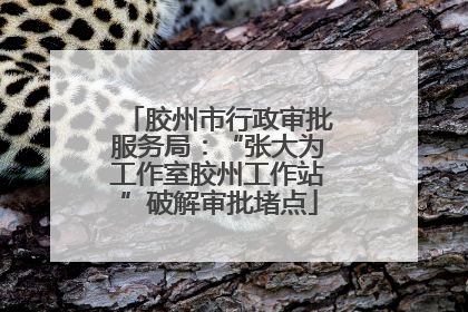 胶州市行政审批服务局：“张大为工作室胶州工作站”破解审批堵点