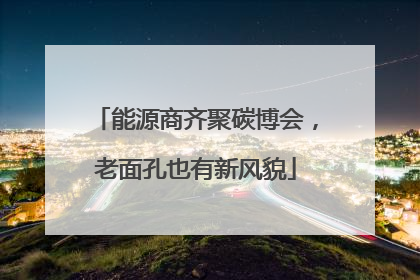能源商齐聚碳博会，老面孔也有新风貌