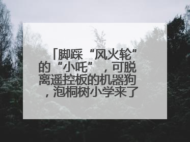 脚踩“风火轮”的“小吒”，可脱离遥控板的机器狗，泡桐树小学来了新朋友！