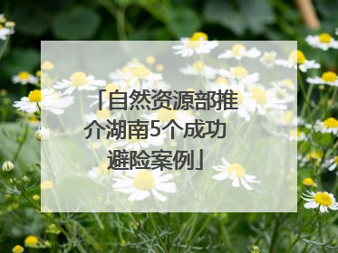 自然资源部推介湖南5个成功避险案例