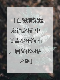 自贸港架起友谊之桥 中美青少年海南开启文化对话之旅