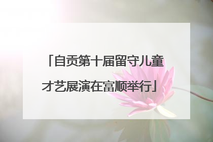 自贡第十届留守儿童才艺展演在富顺举行
