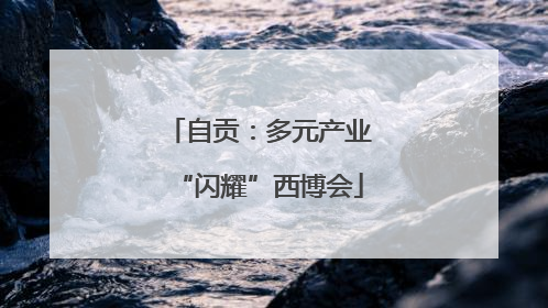 自贡：多元产业“闪耀”西博会